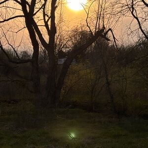 Nature Photography - Sunset Through Forest Trees Wall Art